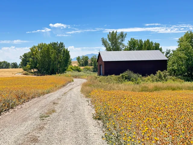 View of dirt / gravel road with a view of rural / pastoral area, a pole building, and a mountain view