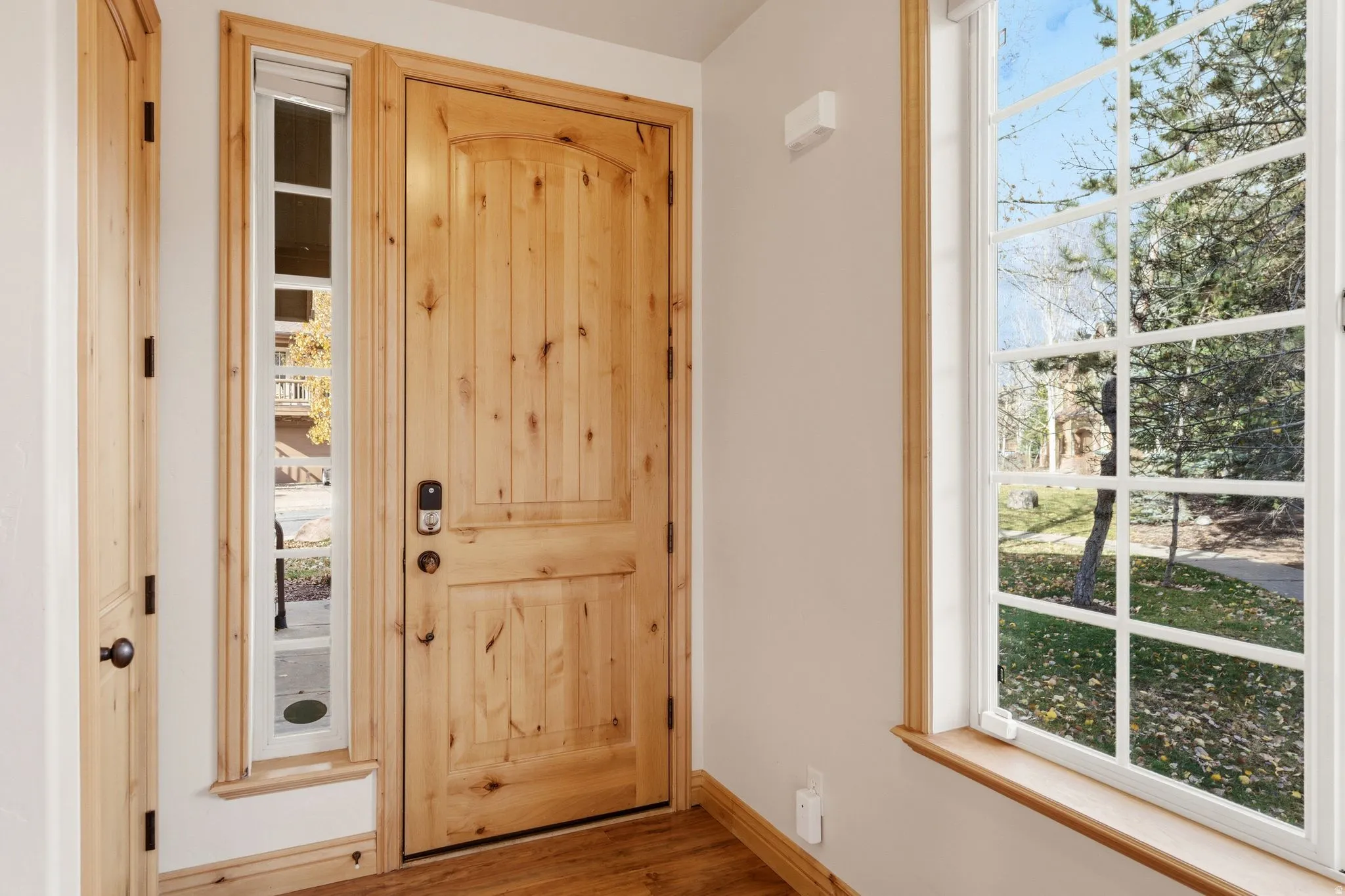 Entryway with plenty of natural light and wood finished floors