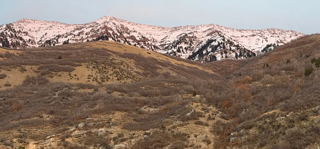 View of mountain background
