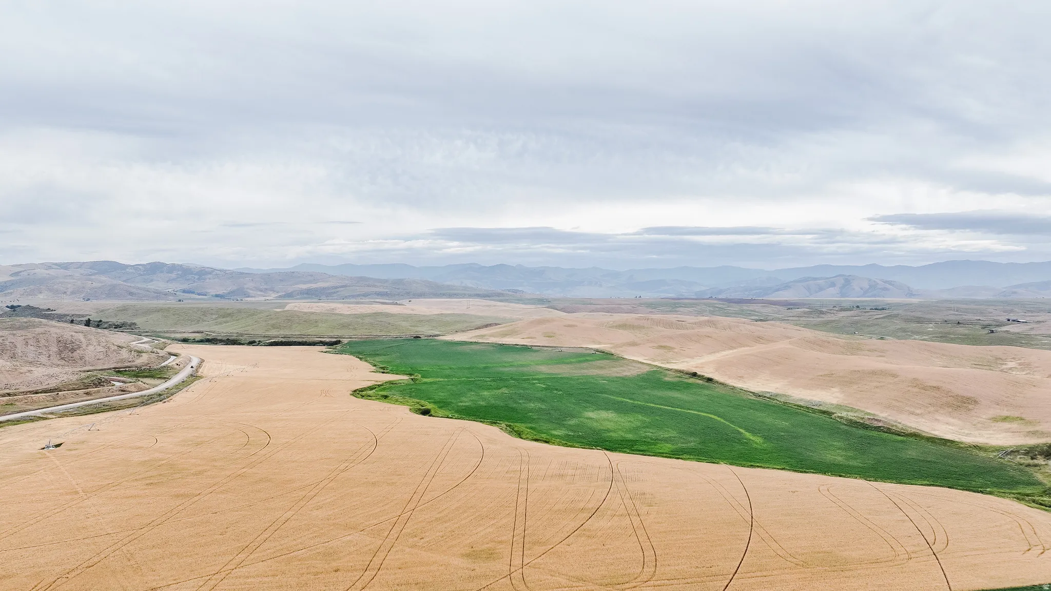View of home's community with a mountain view