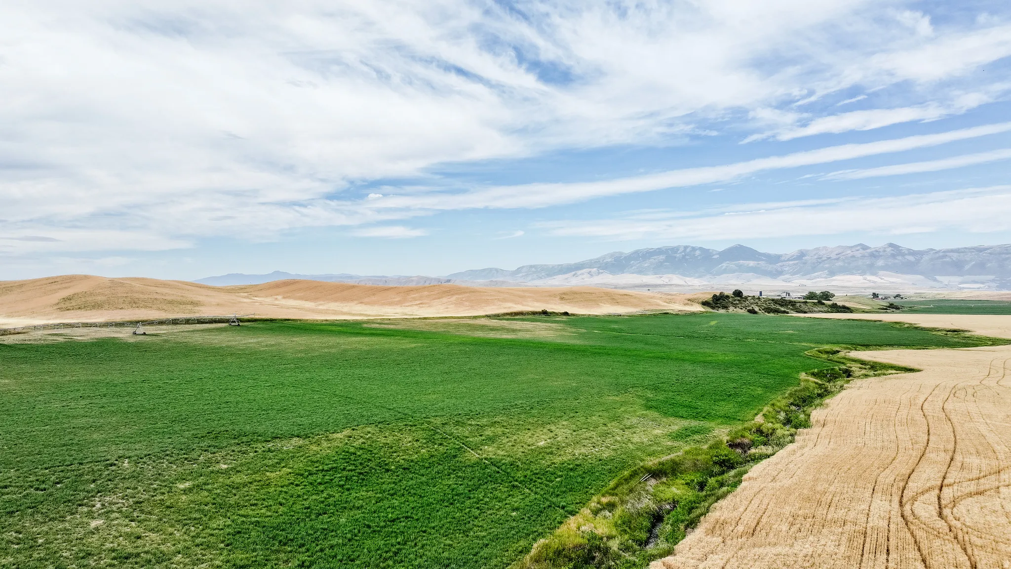 View of green lawn with a mountain view