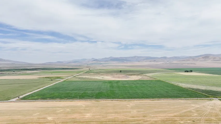 View of rural area featuring a mountainous background and abundant farmland