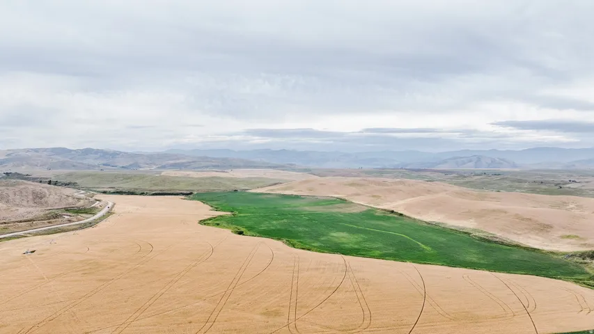 View of home's community with a mountain view
