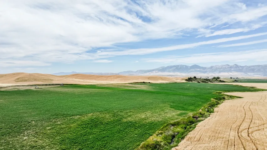 View of green lawn with a mountain view