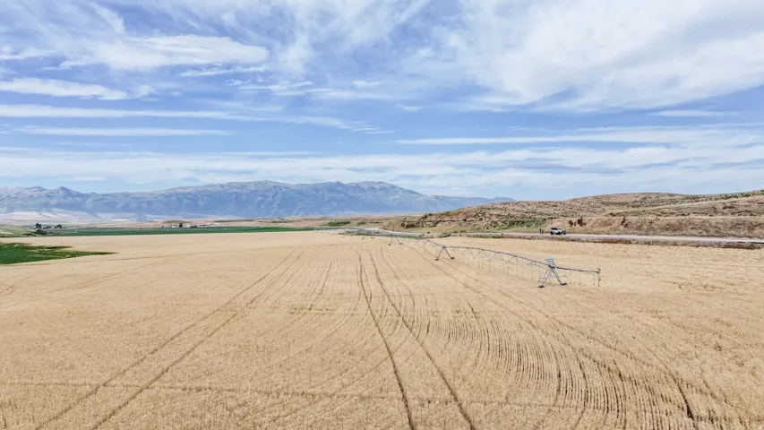 View of mountain background