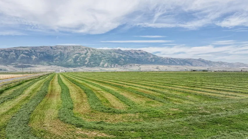 View of mountain background with rural landscape