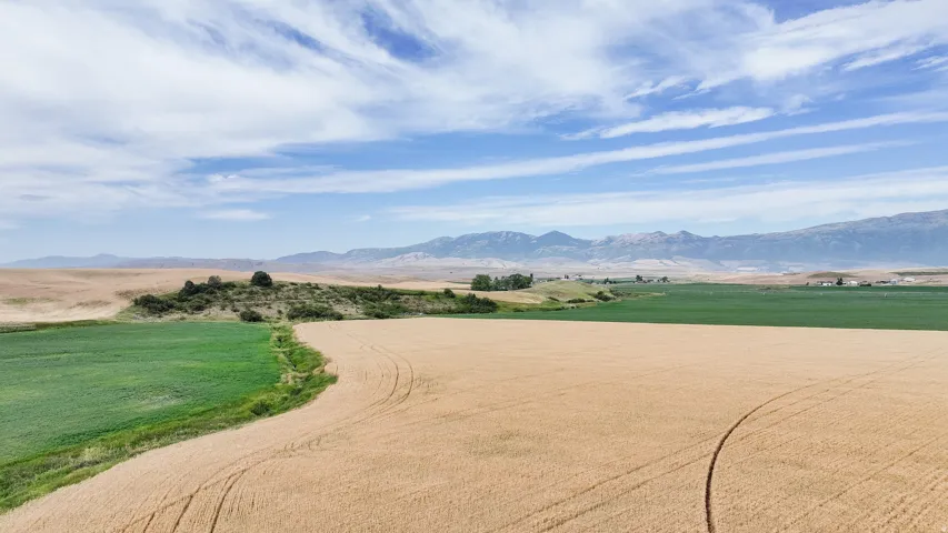View of property's community with a rural view, a lawn, and a mountain view