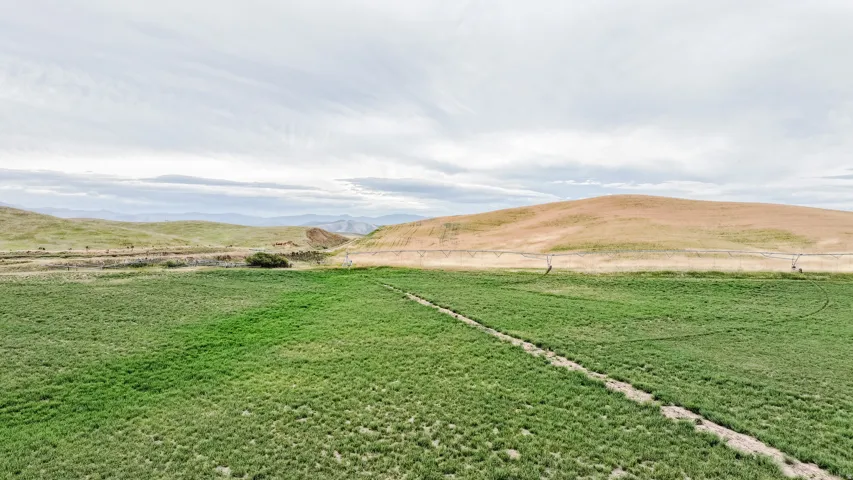 View of grassy yard with a mountain view and a rural view
