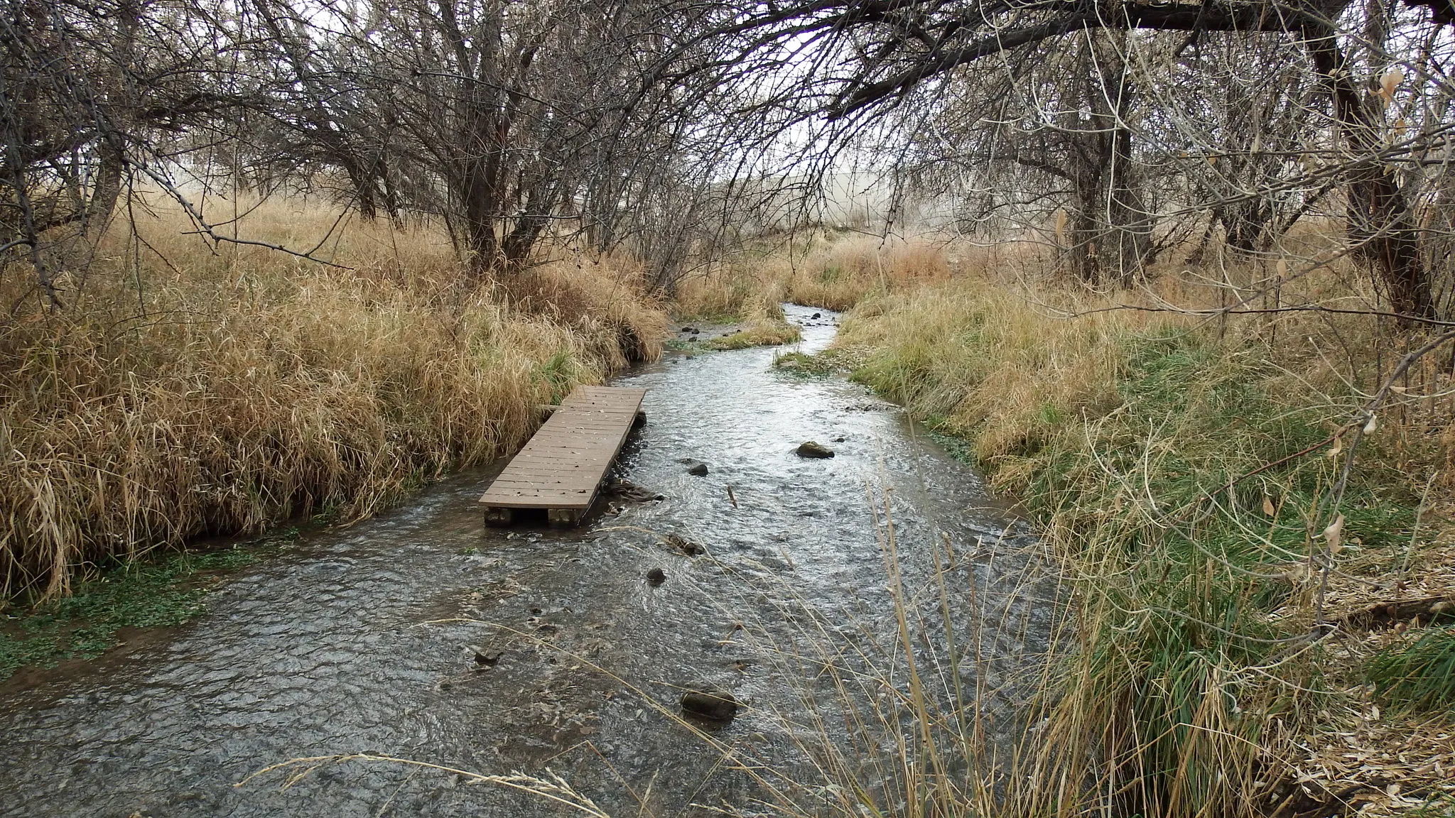 Exterior space with a water view