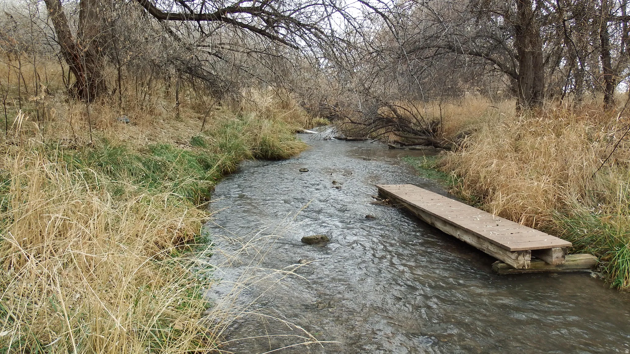 View of community with a water view
