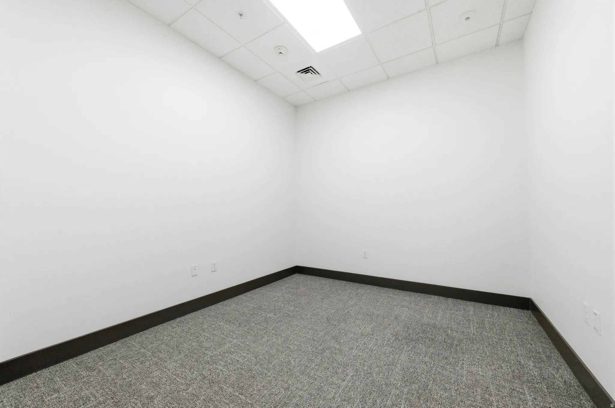 Spare room with a drop ceiling and carpet flooring