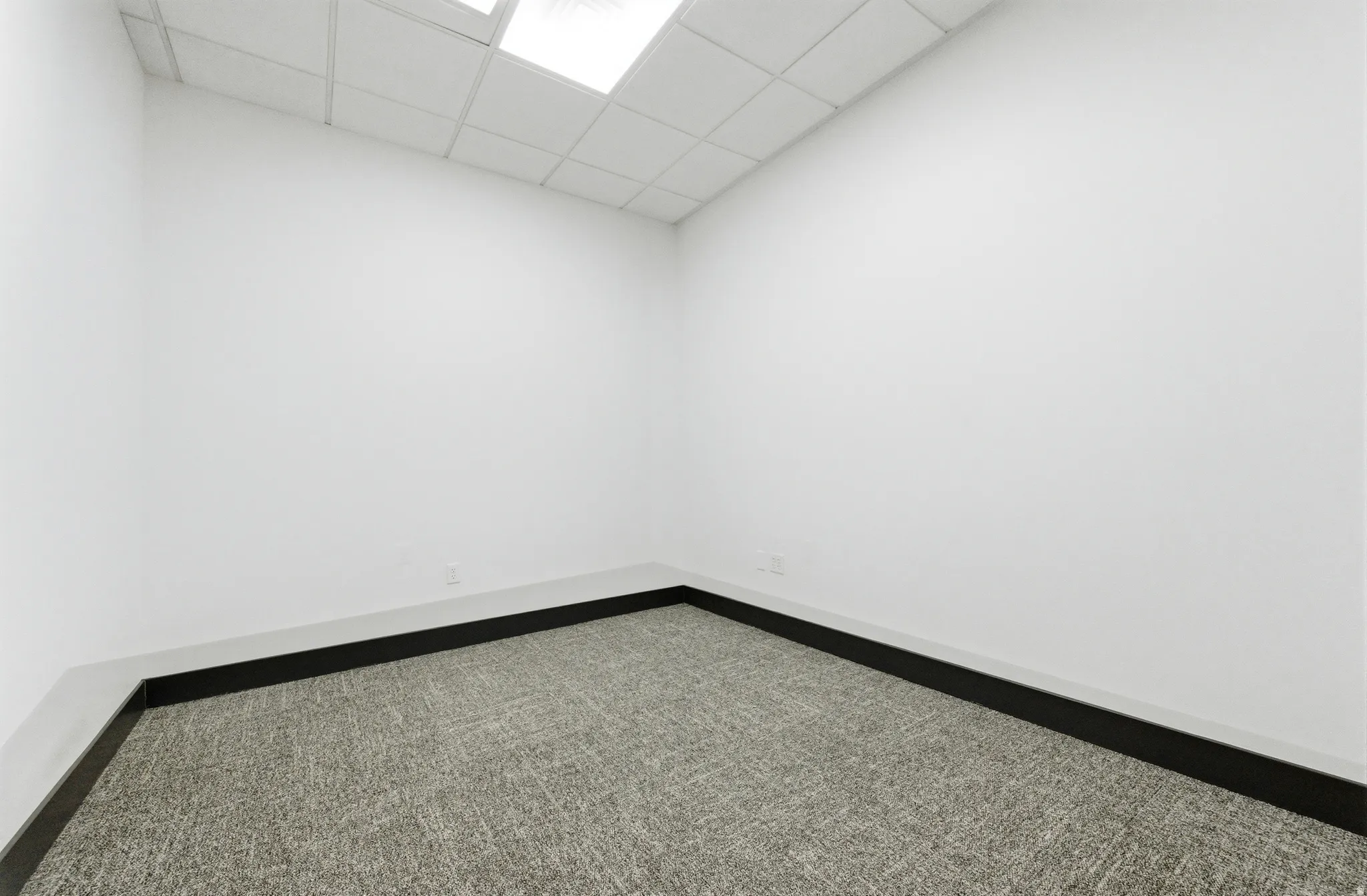 Unfurnished room featuring a drop ceiling and carpet floors