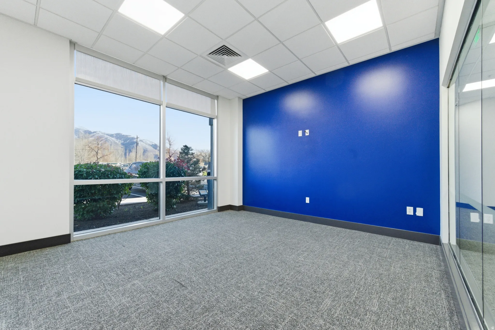 Empty room with a mountain view, a drop ceiling, and carpet floors