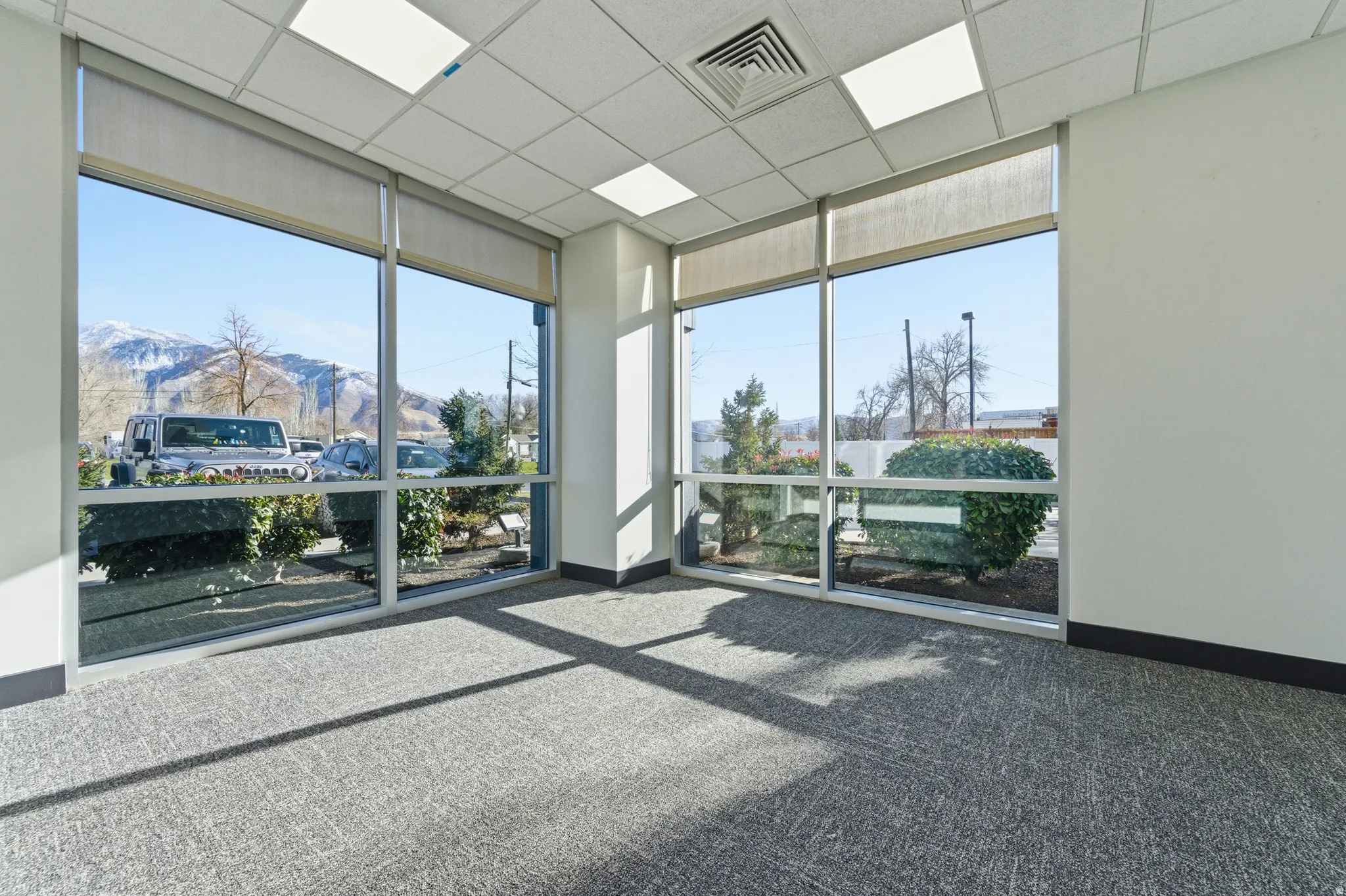 Carpeted spare room with a mountain view, a drop ceiling, and expansive windows