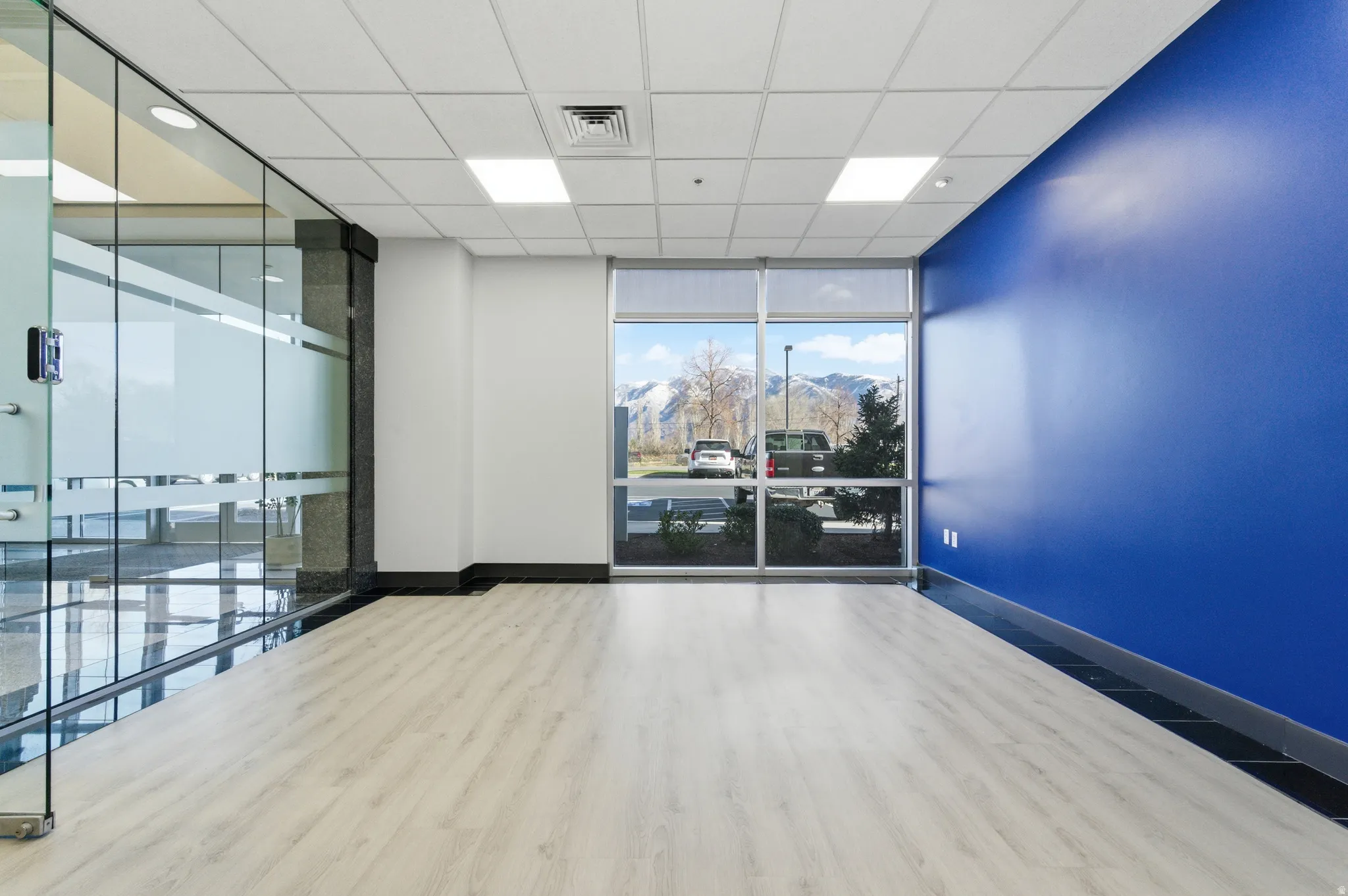 Spare room featuring expansive windows, a drop ceiling, wood finished floors, and a mountain view