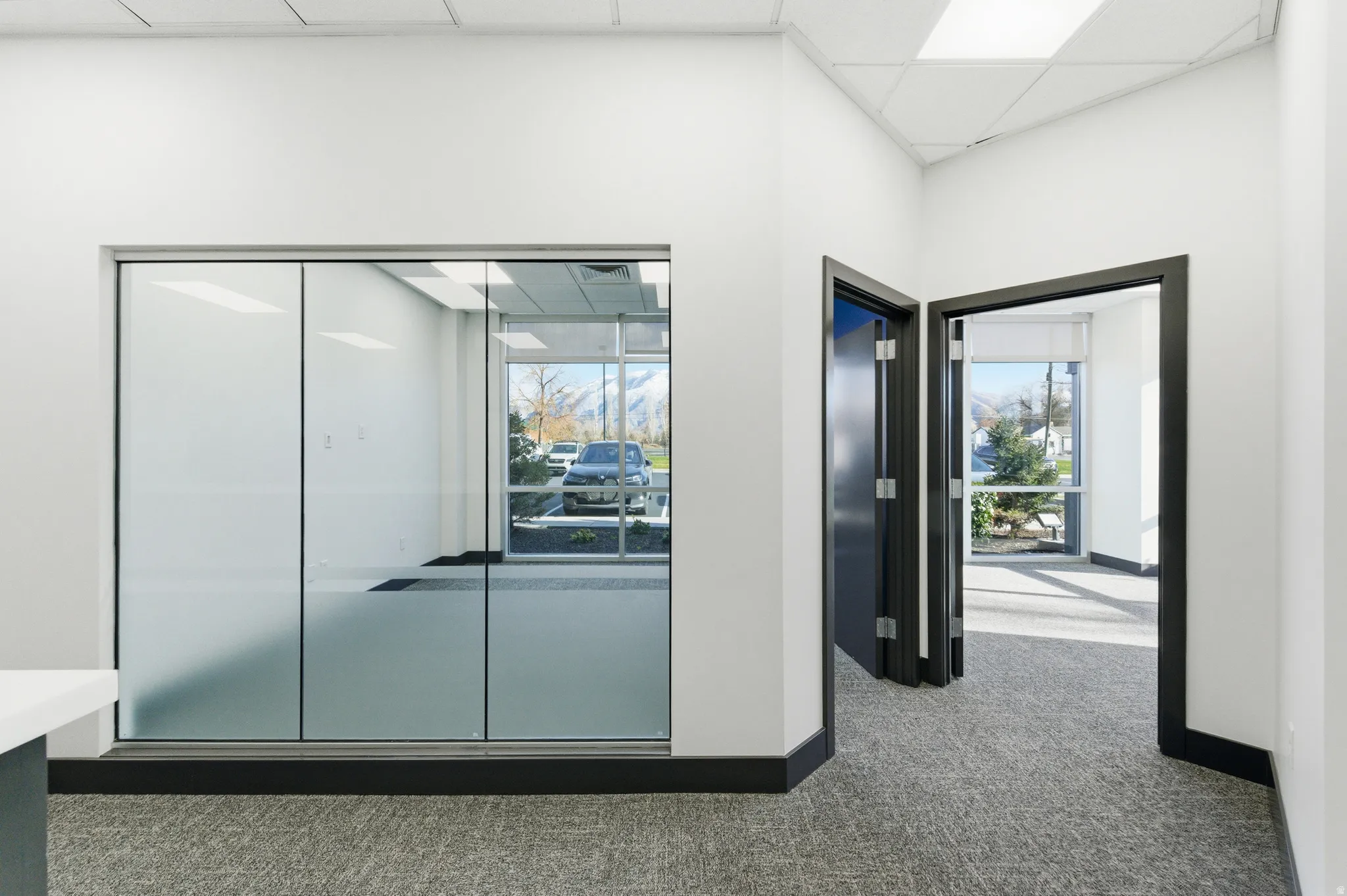 Hall with carpet, a paneled ceiling, and healthy amount of natural light