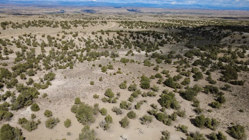 Aerial view of sparsely populated area with a desert landscape and a mountainous background