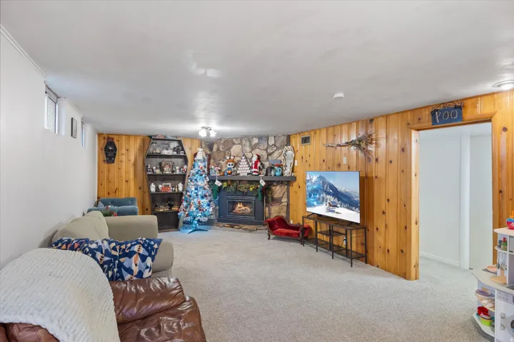 Living room with carpet flooring, a stone fireplace, and wood walls