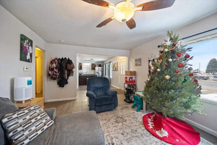 Living room featuring a ceiling fan and wood finished floors