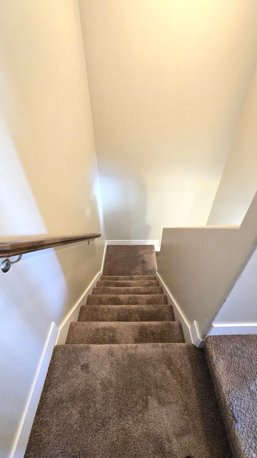Stairway with baseboards and carpet floors