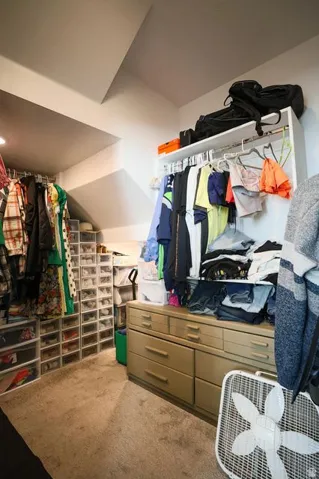 Spacious closet featuring carpet floors
