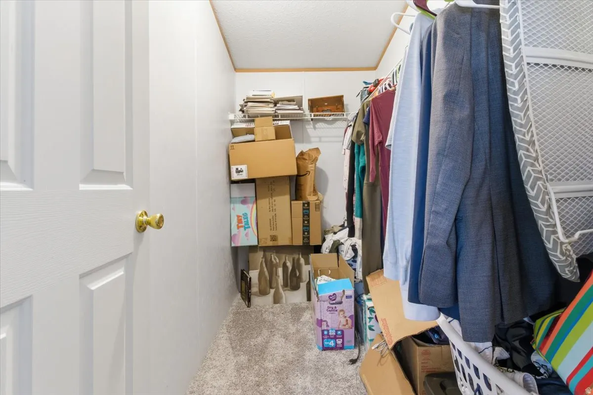 Walk in closet featuring carpet