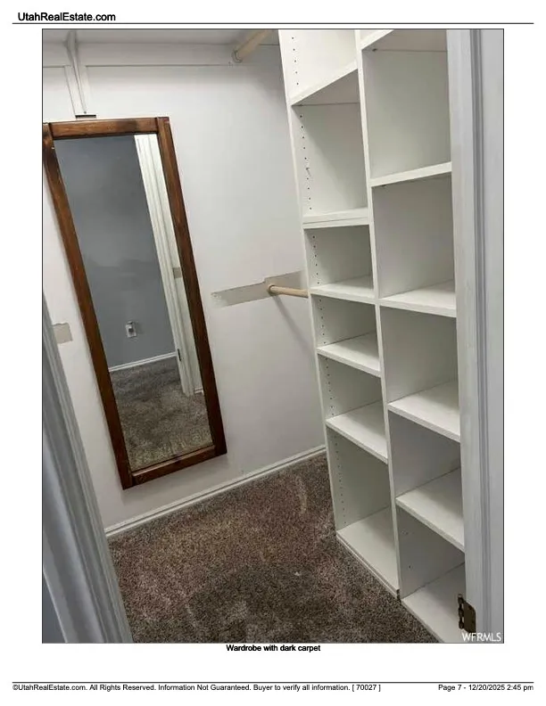 Spacious closet with dark carpet