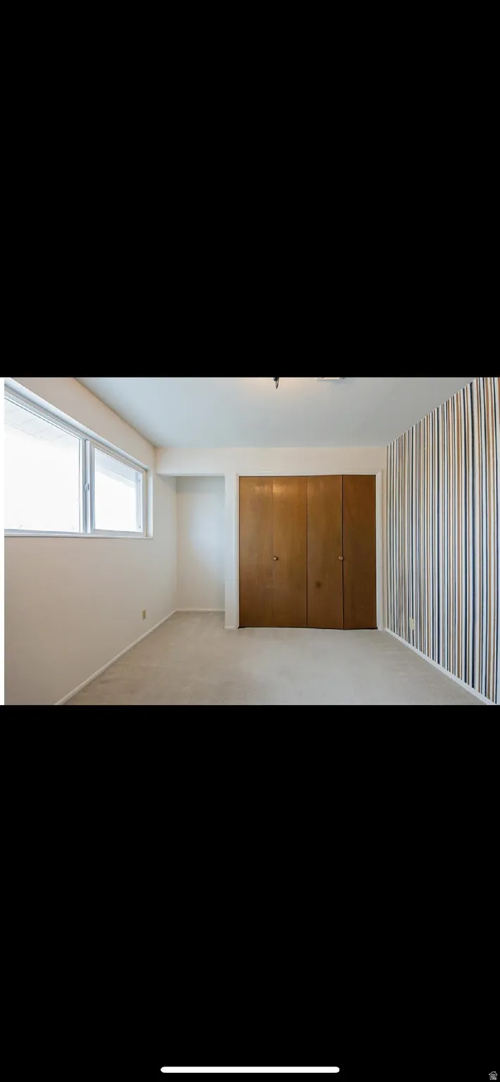 Basement with carpet