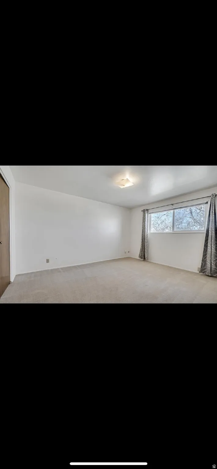 Basement featuring carpet floors