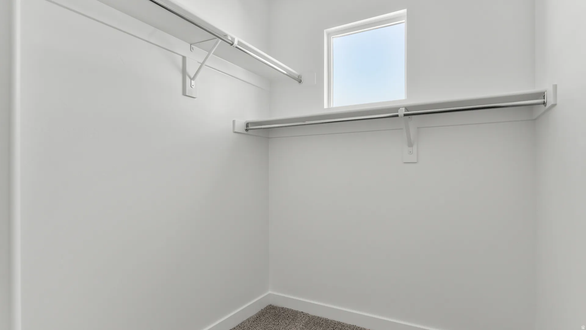 Walk-in closet with white walls, carpet flooring, a window, and multiple hanging rods with shelving