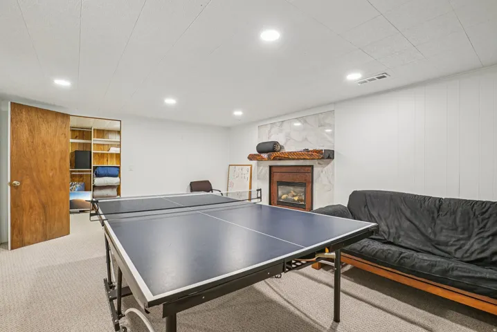 Rec room featuring a glass covered fireplace, carpet flooring, and wood walls