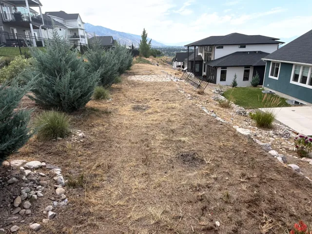 Terraced landscaping featuring mature evergreen shrubs and natural rock accents