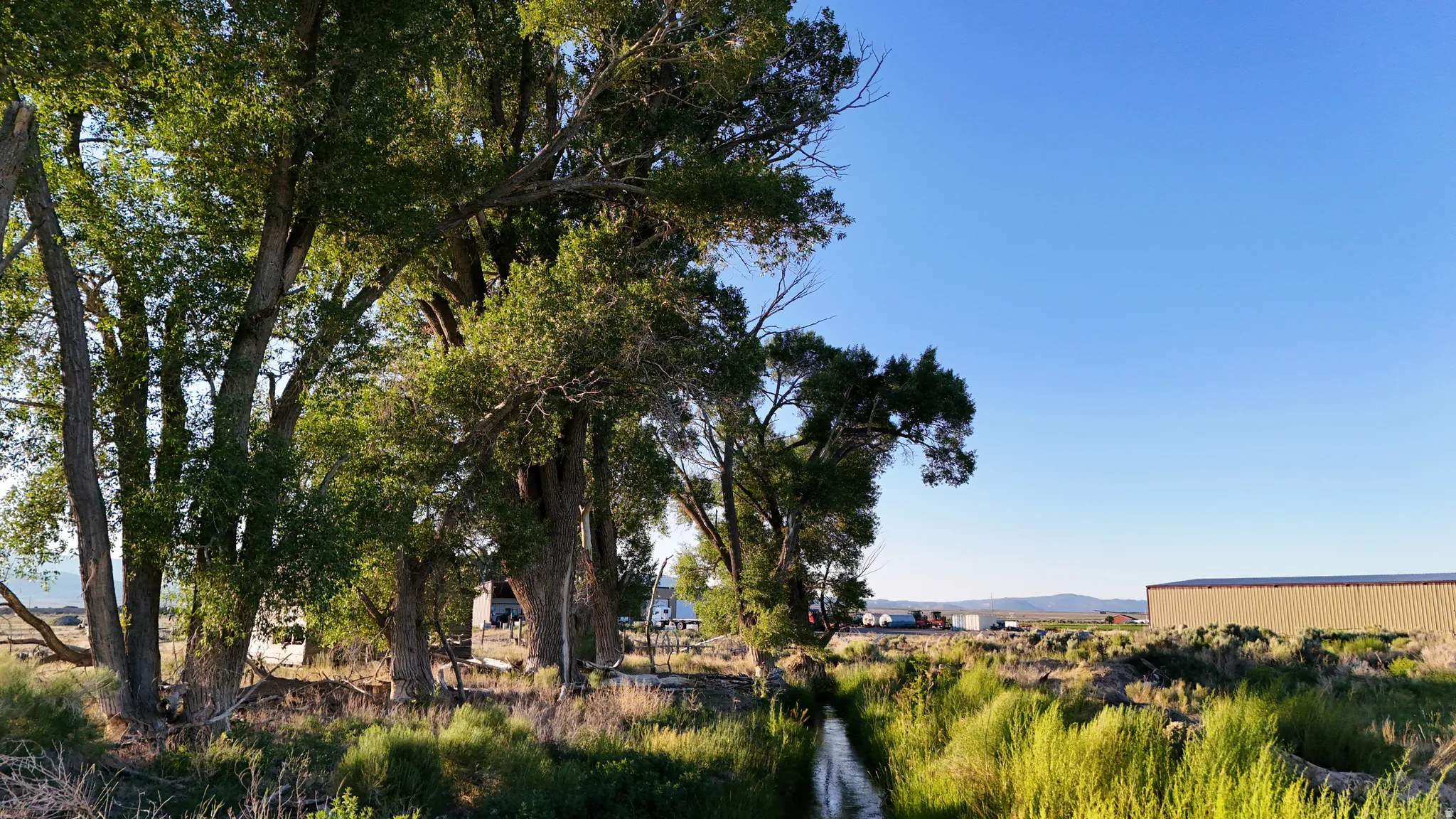 View of yard featuring a mountain view