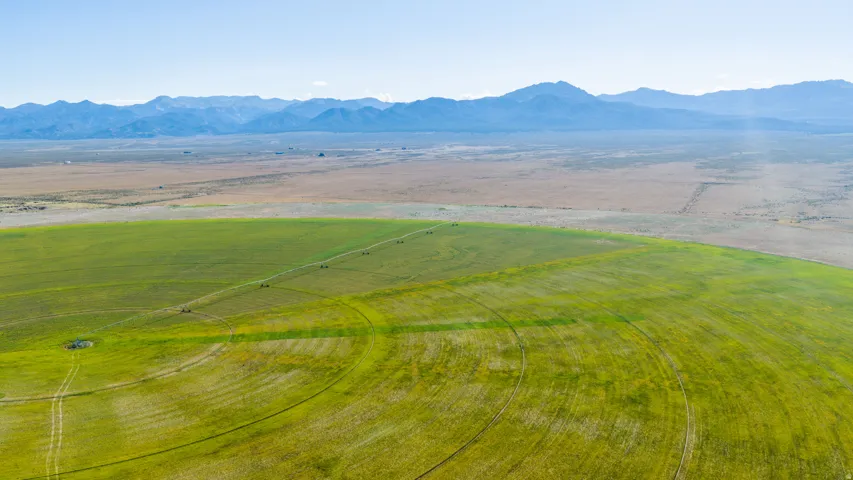 Expansive agricultural land featuring a central pivot irrigation system