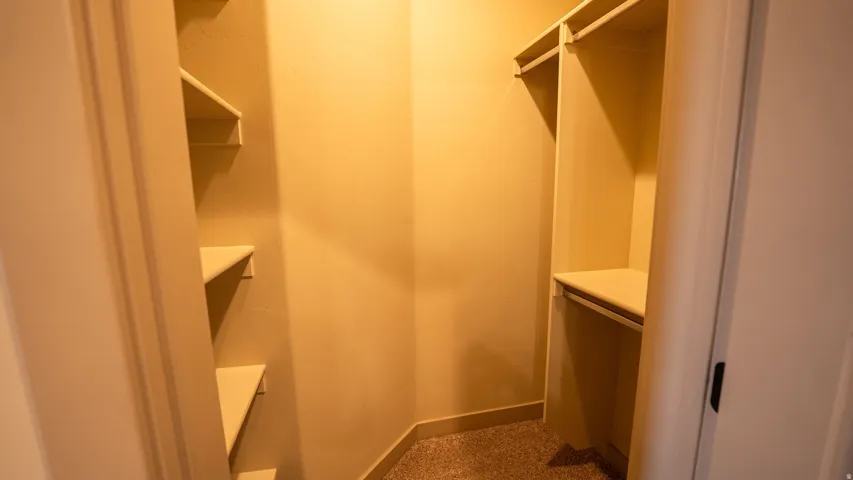 Walk-in closet featuring built-in shelving, hanging rods, and carpeting