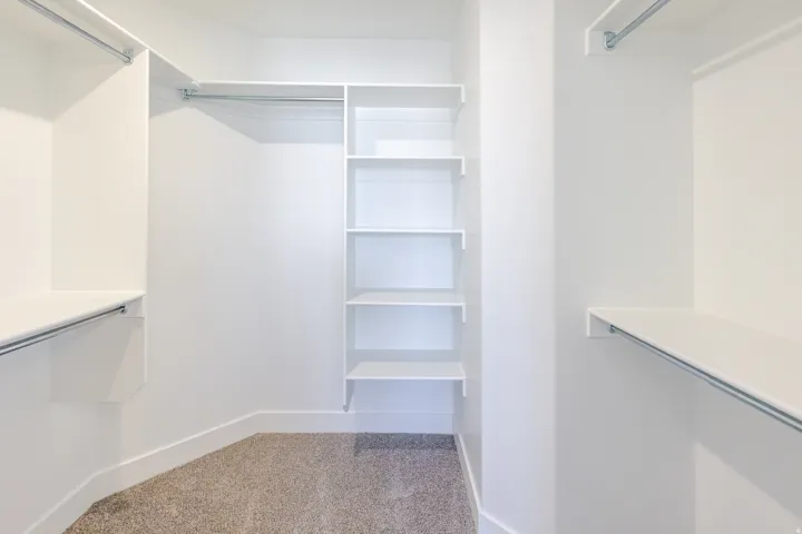 Walk in closet with light colored carpet