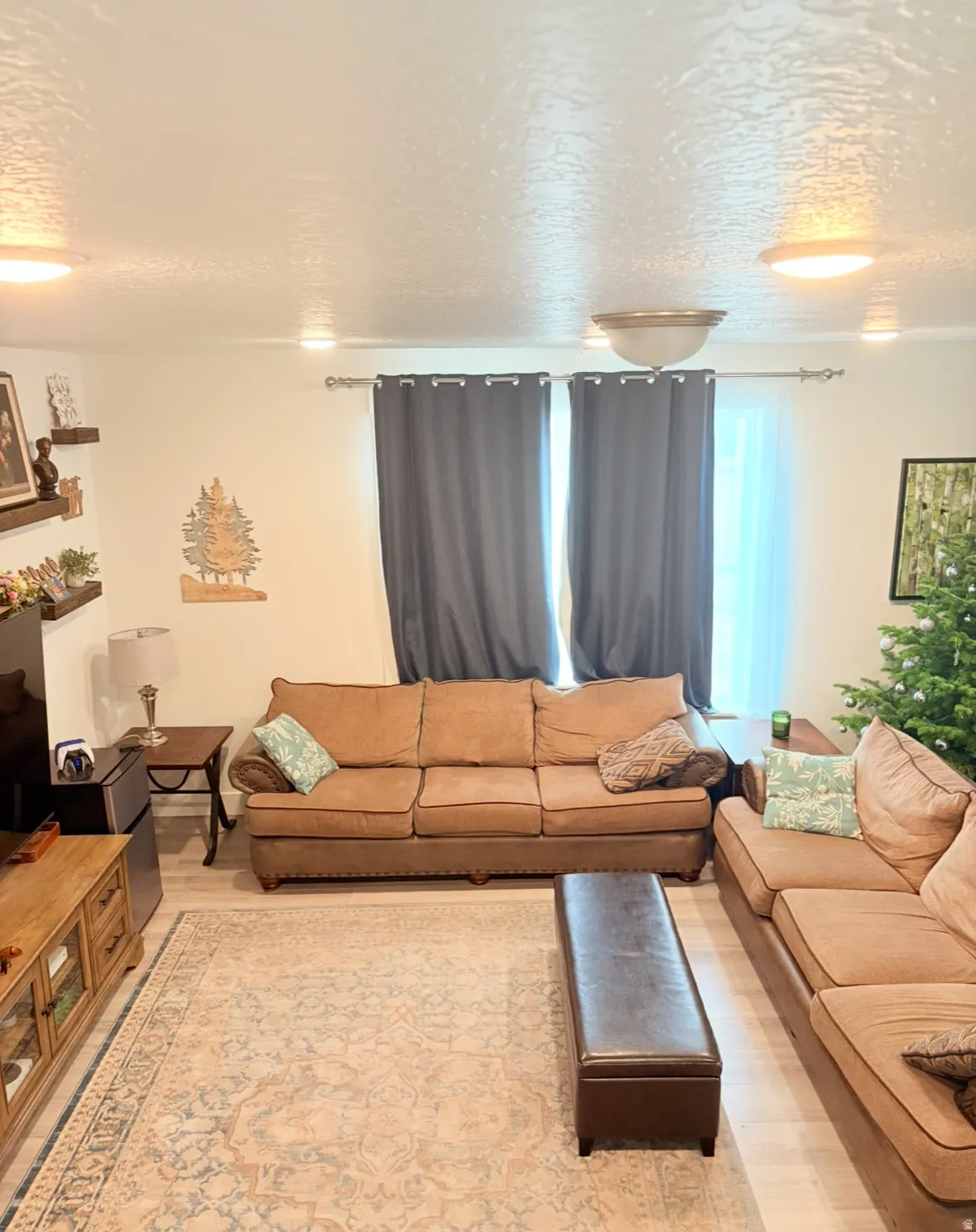 Living area with a textured ceiling