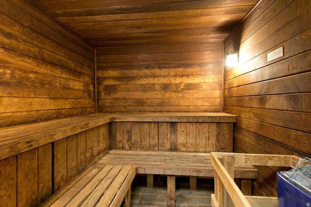 Sauna / steam room featuring wood walls and wooden ceiling