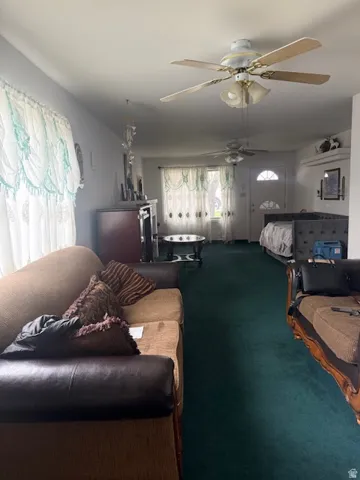 Living room featuring carpet