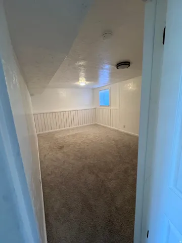 Basement with carpet flooring, wainscoting, and a textured ceiling