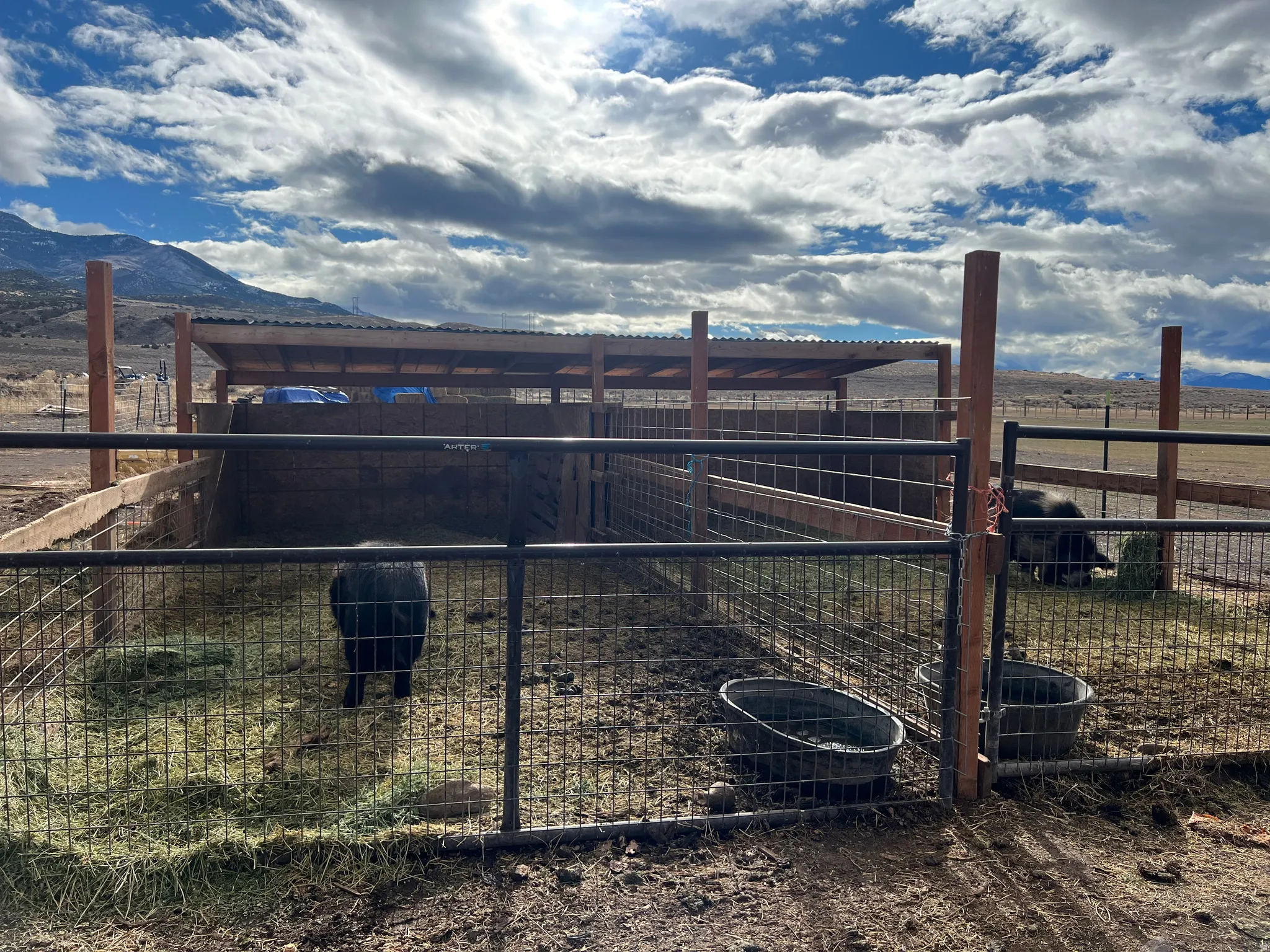 View of yard with a mountain view, a rural view, and an outdoor structure