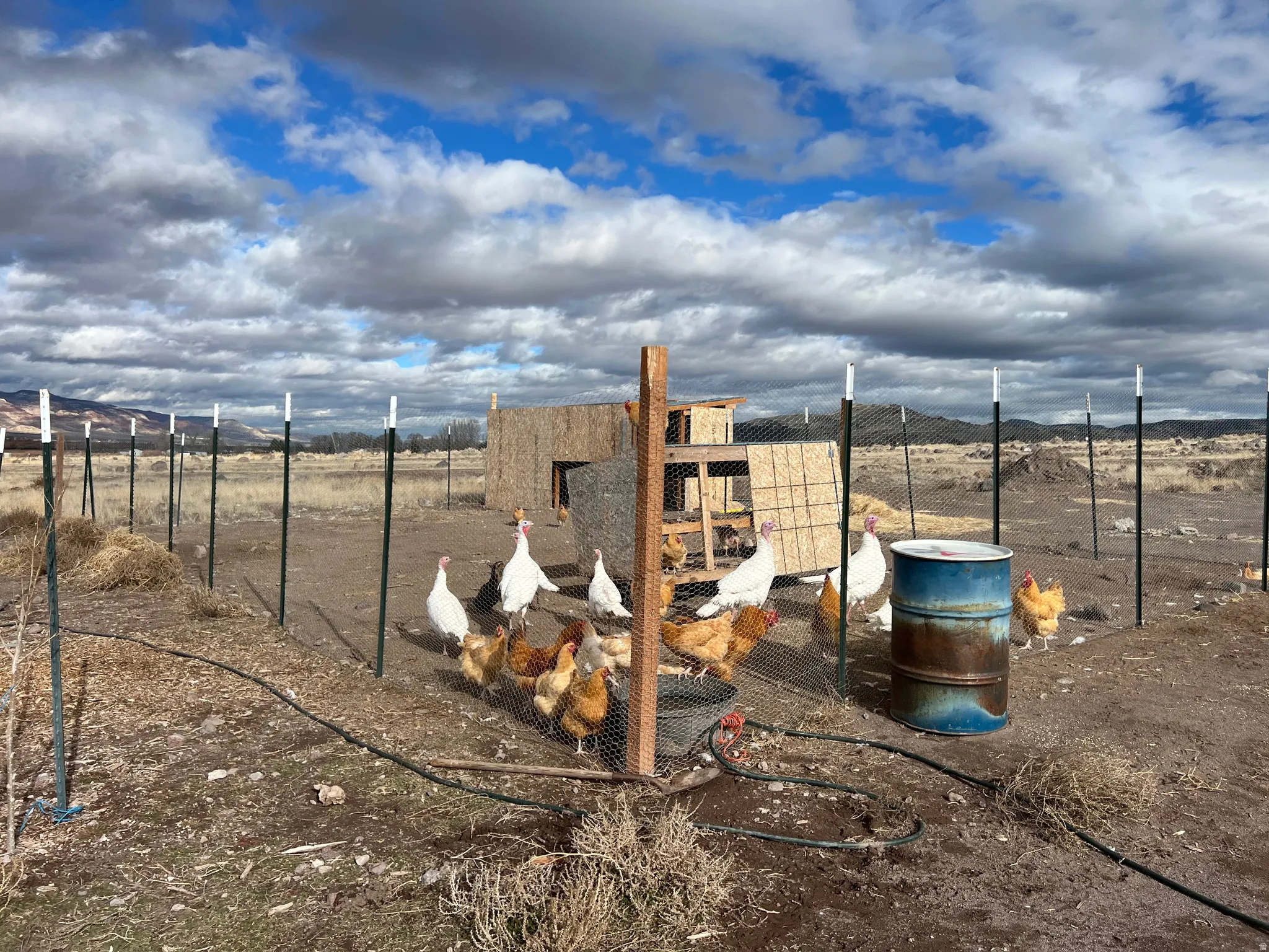 View of yard featuring a view of rural / pastoral area, exterior structure, and an outbuilding