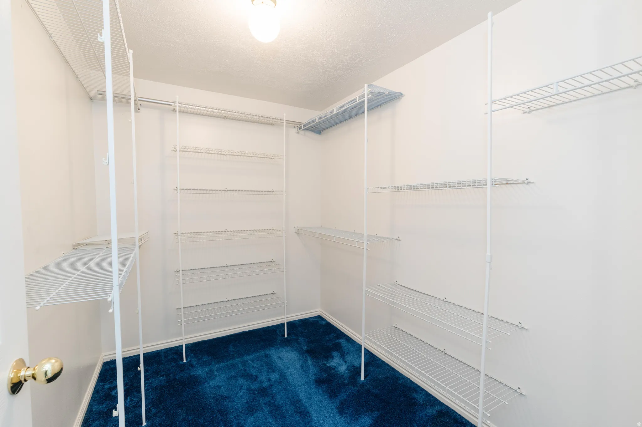 Walk in closet featuring dark colored carpet
