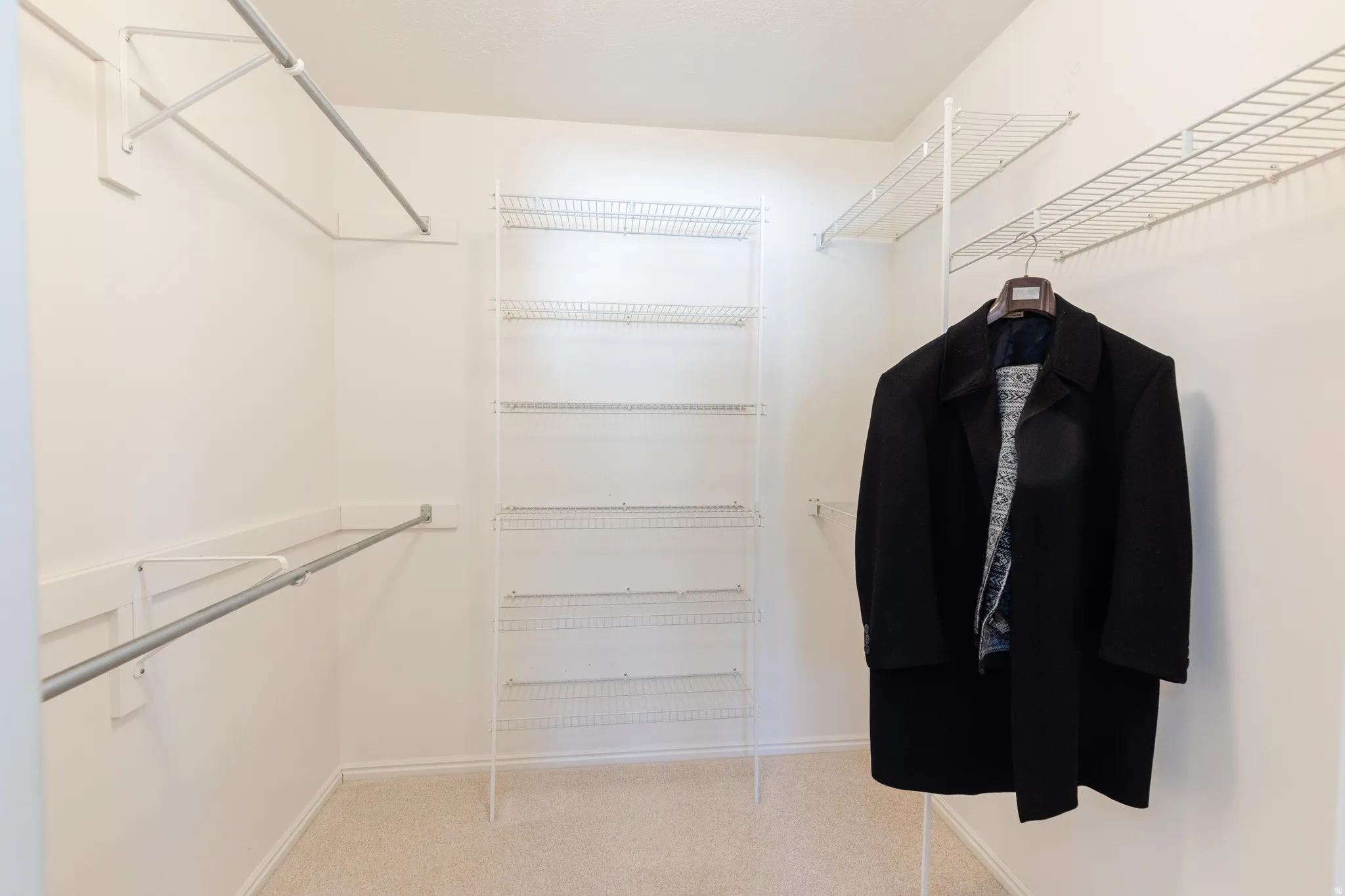 Walk in closet featuring light carpet