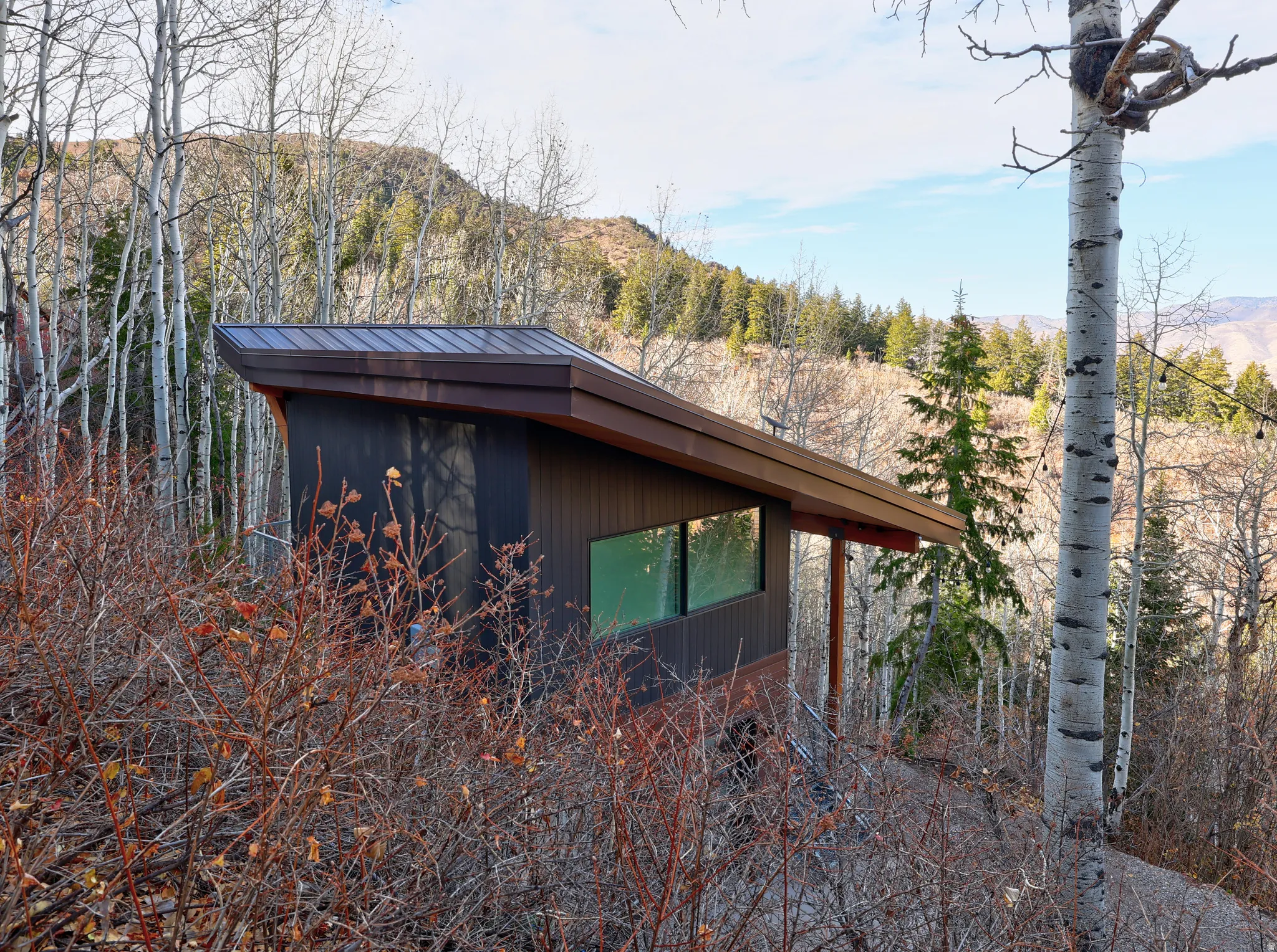 View of home's exterior featuring a view of trees