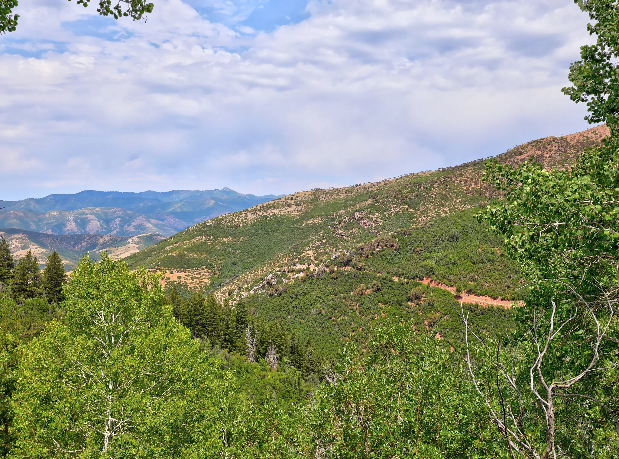 View of mountain background
