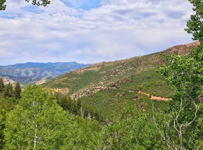View of mountain background
