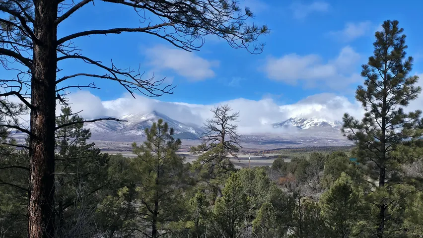 60 S Wray Mesa Rd, La Sal, Utah 84530