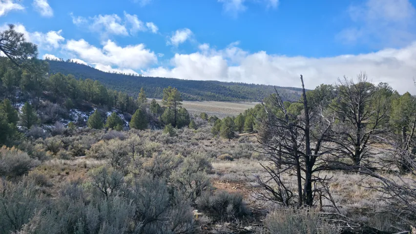 View of Pine Ridge