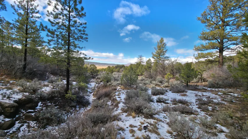View of snow covered land